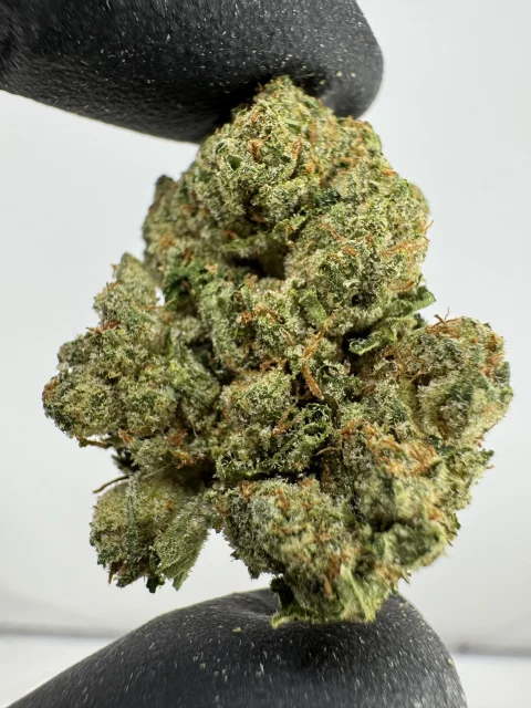 OG 27.7% THCA
