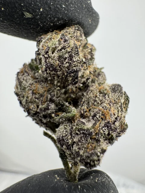 White Cherry Gelato 29.4% THCA