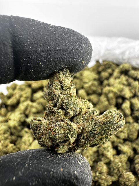 Gorilla Glue Smalls