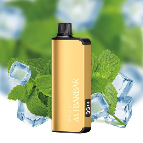 Alibarbar Ingot 12000 Cool Mint Disposable Vapes